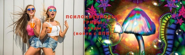 прущие грибы Бугульма