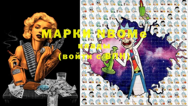 прущие грибы Бугульма