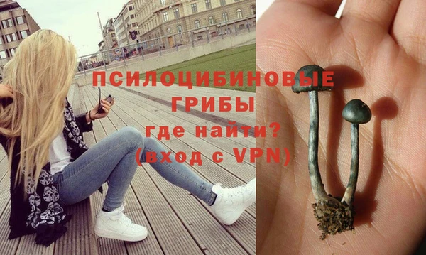 первитин Сафоново