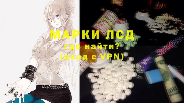 прущие грибы Бугульма