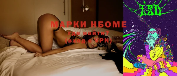 прущие грибы Бугульма