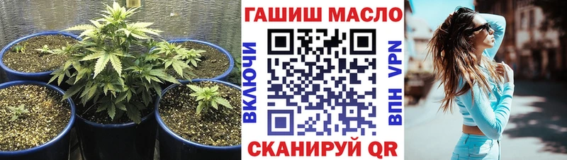 цены   Томмот  Дистиллят ТГК гашишное масло 