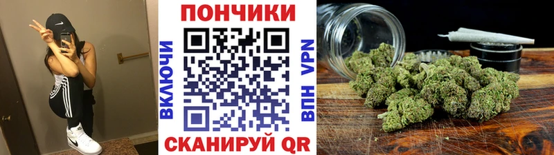 Бошки марихуана Bruce Banner Томмот